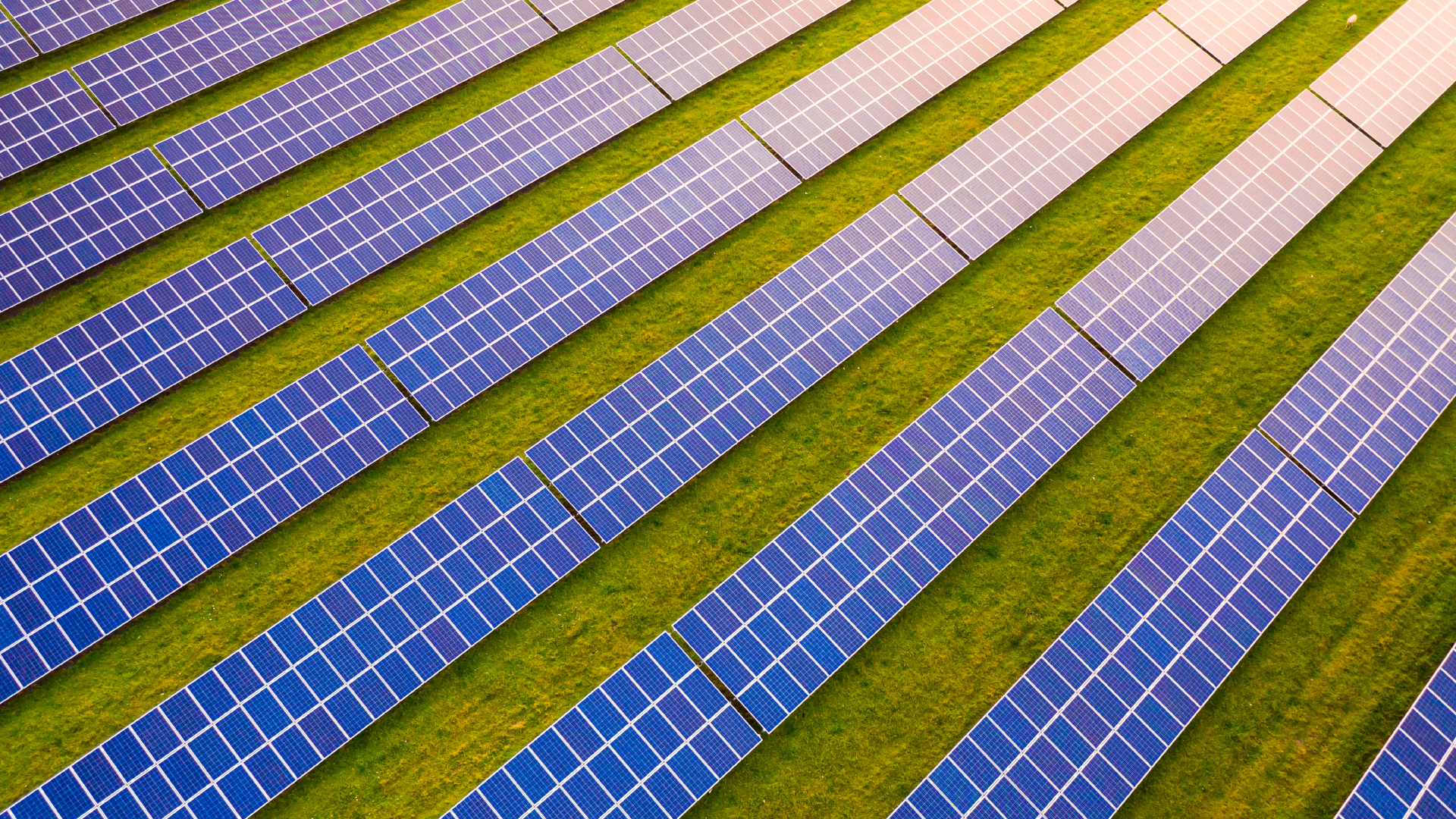Cade aprova compra de ativos solares da Raízen pelo Grupo Gera e reforça consolidação no setor